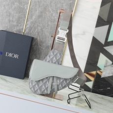 Christian Dior Saddle Bags